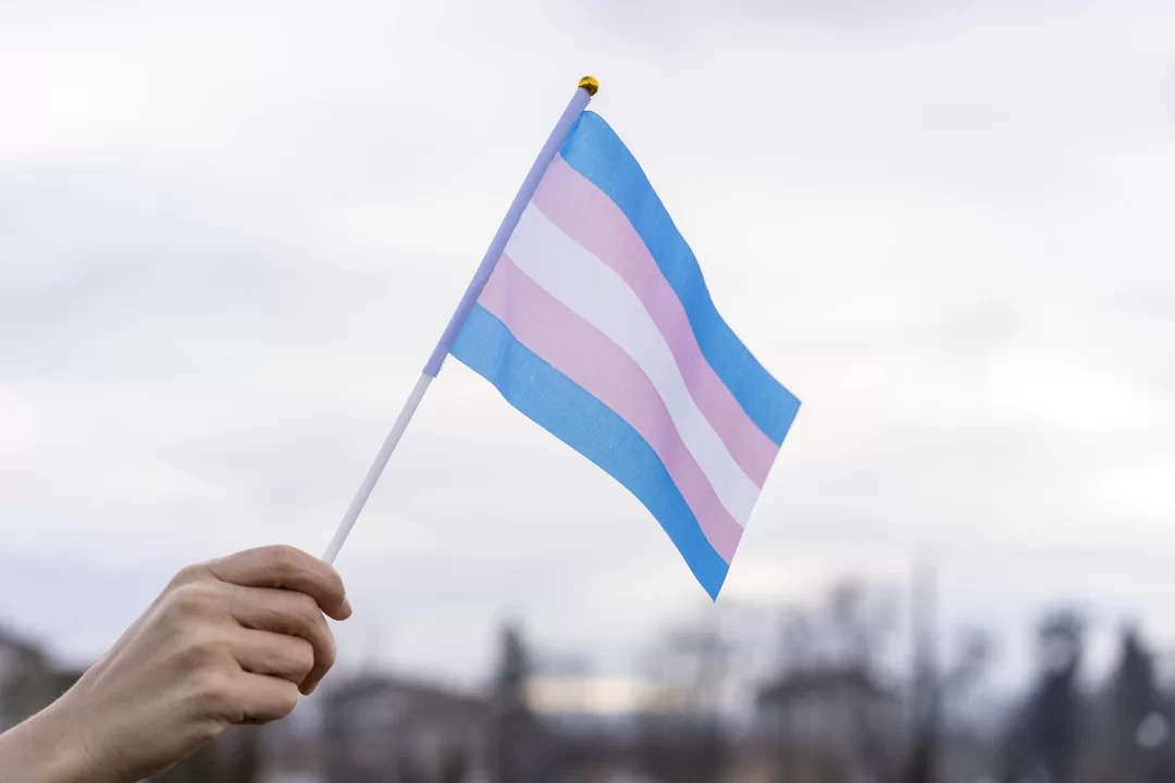 Dia da Visibilidade Trans, 29 de janeiro.