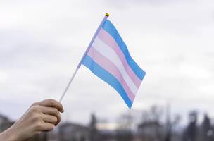 Dia da Visibilidade Trans, 29 de janeiro. (Foto: Reprodução)
