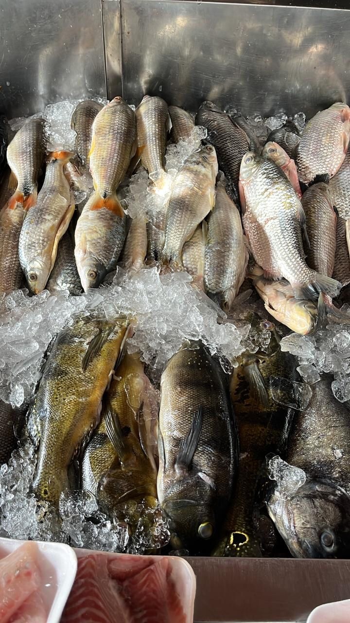 Peixes mais caros