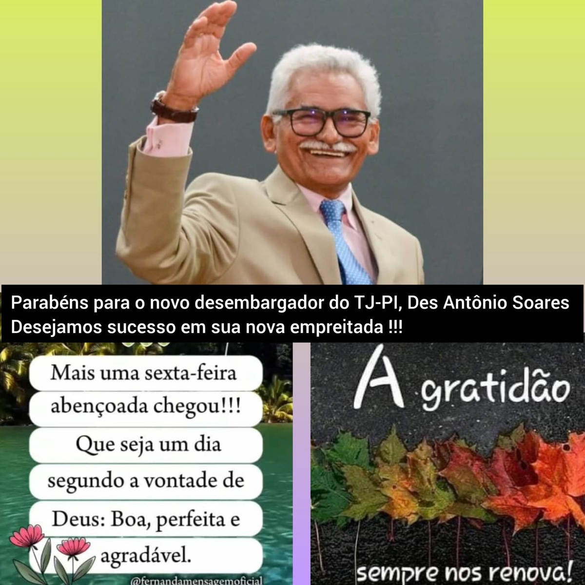 Pensamento do dia