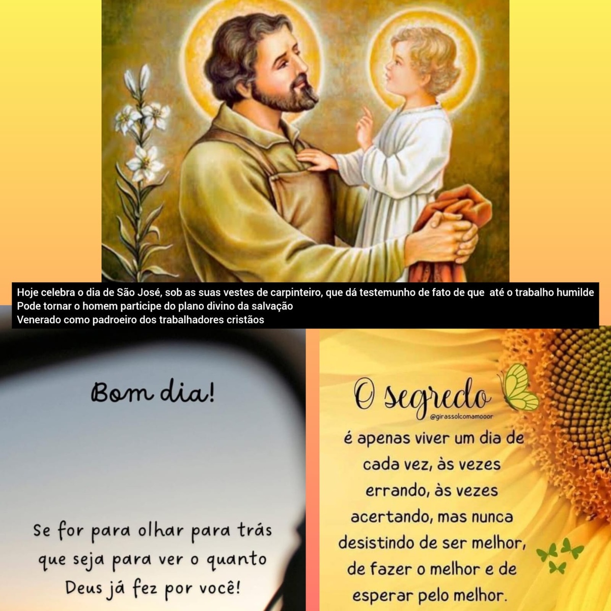 Pensamento do dia.