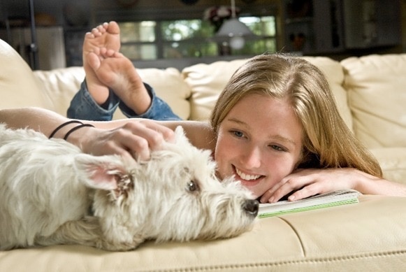 Pets são alisados da saúde mental humana