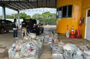PRF apreende quase 1.500 calçados em operação no Piauí (Foto: Reprodução)