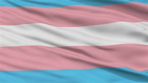 Transgender flag