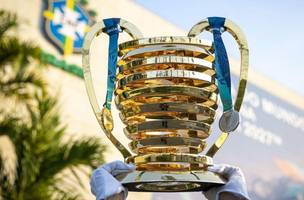 Troféu da Copa do Nordeste• Twitter/Copa do Nordeste (Foto: • Twitter/Copa do Nordeste)