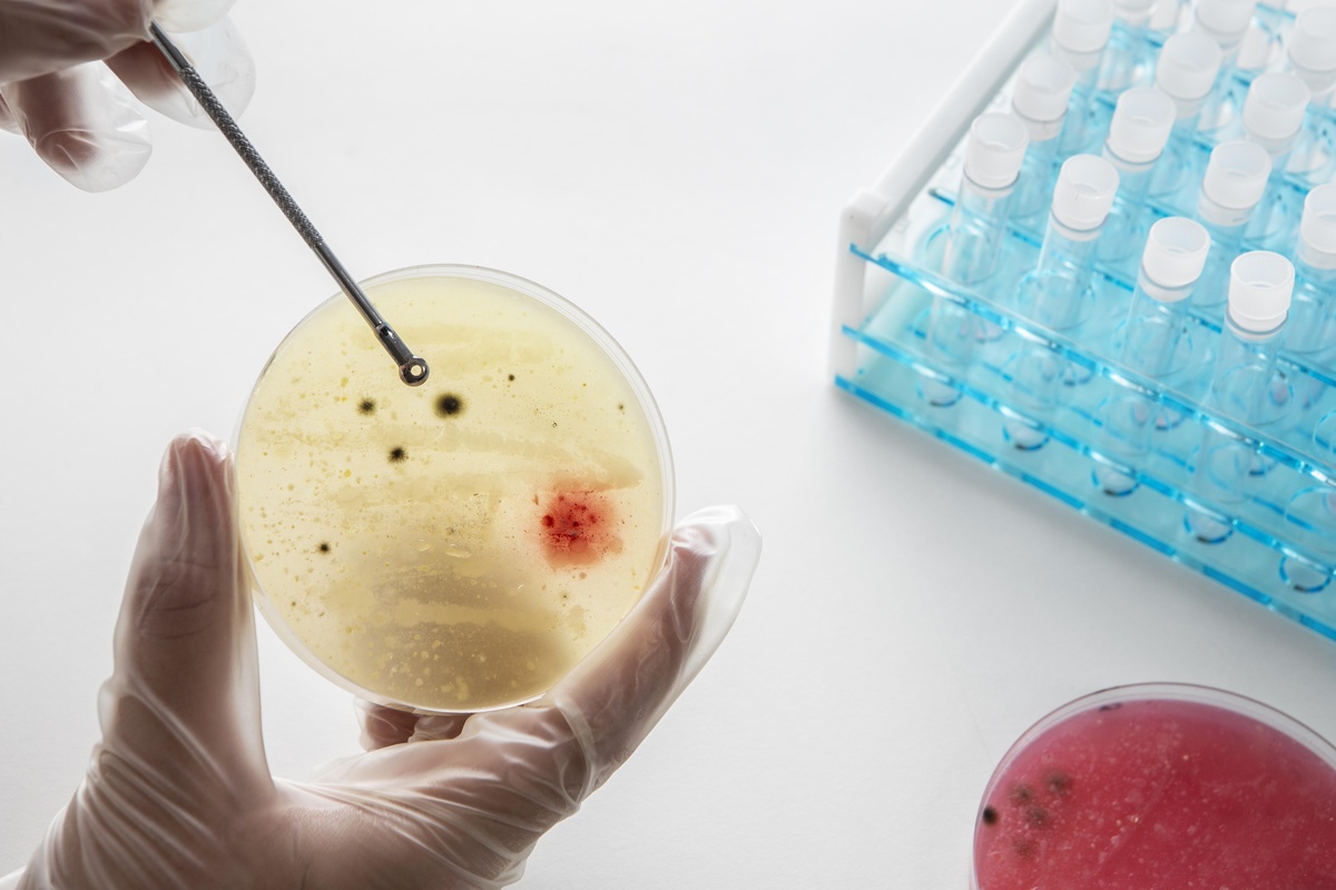 Composição química do dia da ciência mundial natureza morta