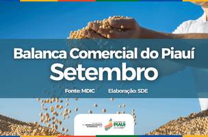 Exportações piauienses (Foto: Reprodução)