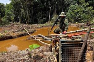 Operações do Ibama encontraram mercúrio em terras indígenas (Foto: Alan Chaves)