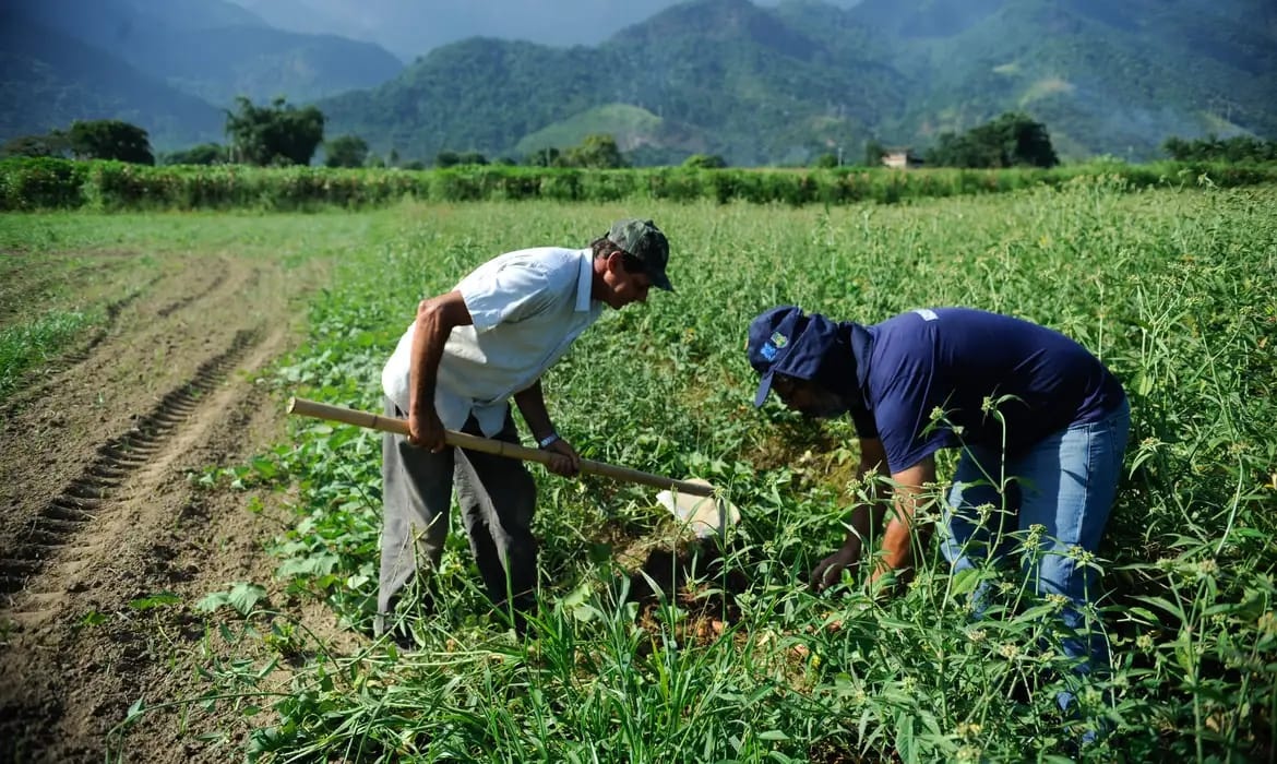 Produtores Rurais