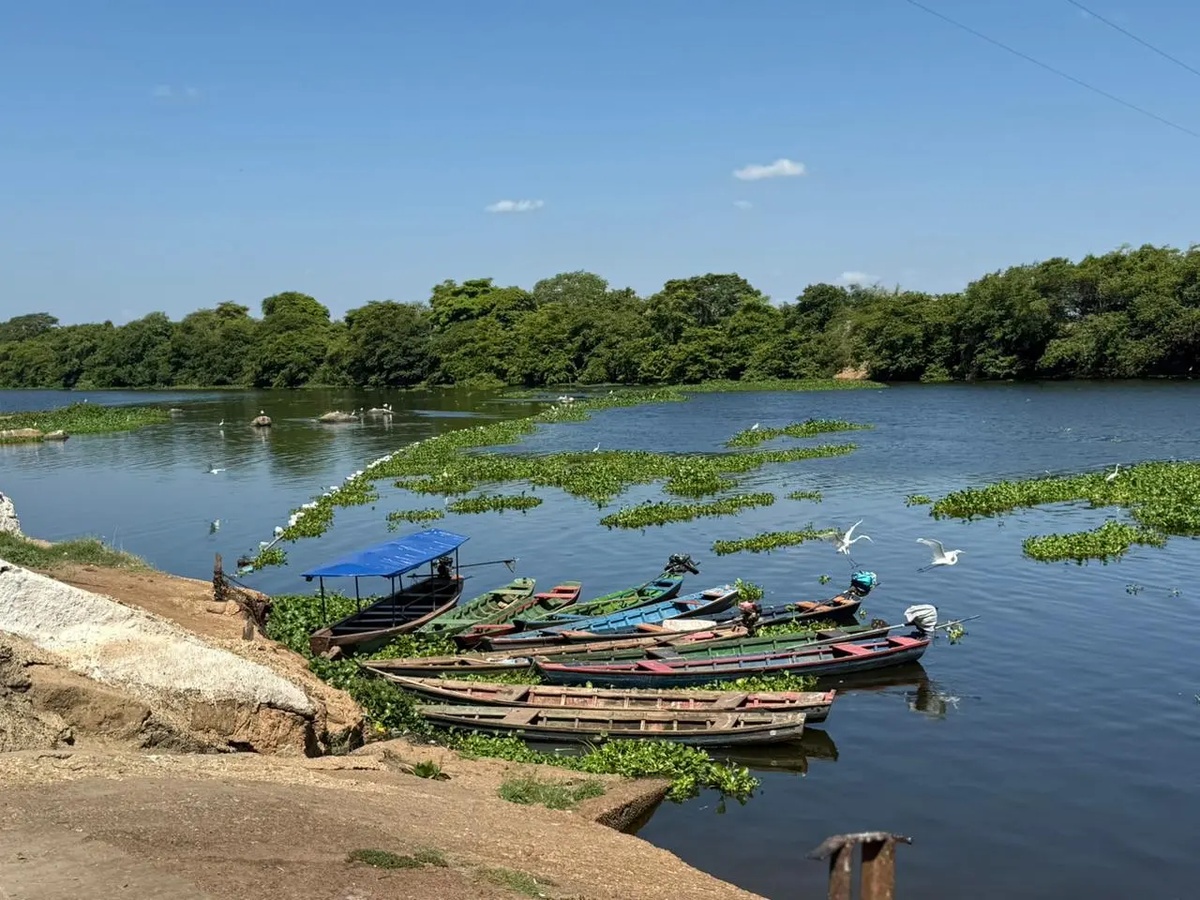 Conscientização sobre o período da piracema