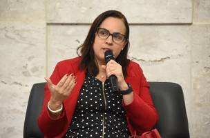 Léa Bressy, vice-presidente do INSS, criticou a imprensa por "colocar" Stefanutto como alvo de ação da PF (Foto: Edson Leal/ MPS)