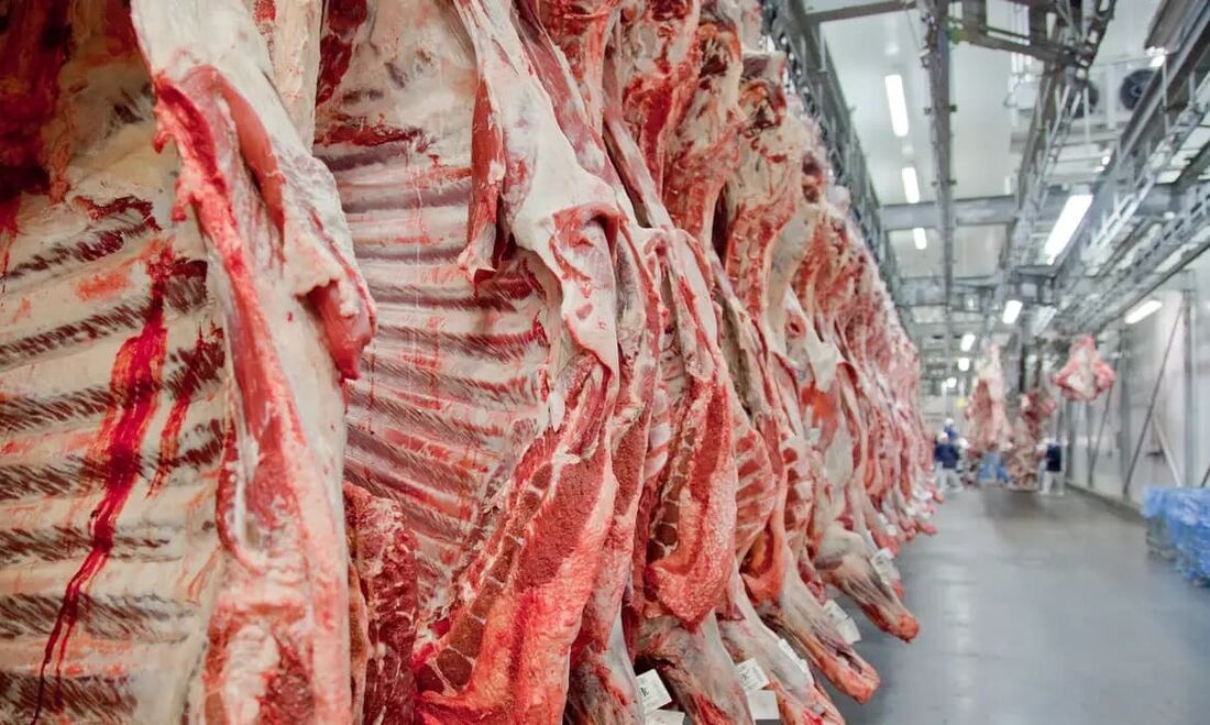 Canadá reabre mercado ao frango do Brasil e Japão avança em auditoria da carne
