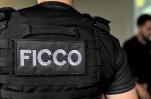 Operação mira grupo suspeito de tráfico ilegal de armas no litoral do Piauí (Foto: Reprodução/Gov Br)