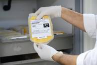 Hemopi abre no feriado de Finados para receber doadores no Piauí