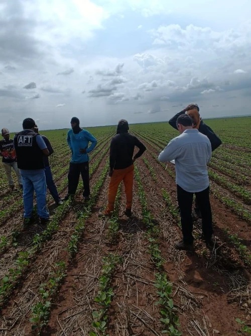 trabalhadores são resgatados em situação análoga à escravidão no interior do Piauí