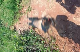 A vítima foi encontrada com os pés amarrados (Foto: Reprodução)