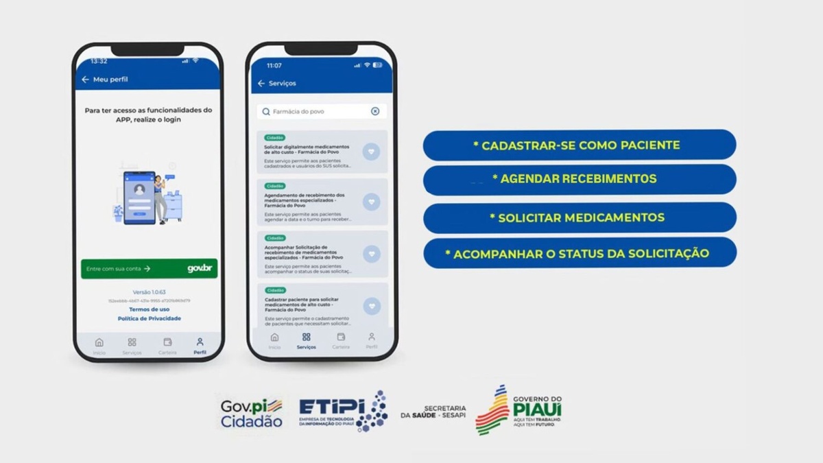 Aplicativo Gov.pi Cidadão
