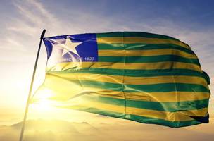 Bandeira do Piauí. (Foto: Reprodução | ecoadventuretur)