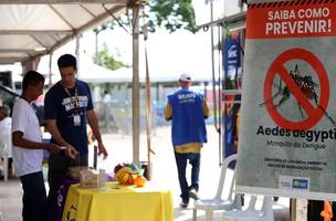 Dengue (Foto: Ministério da Saúde)
