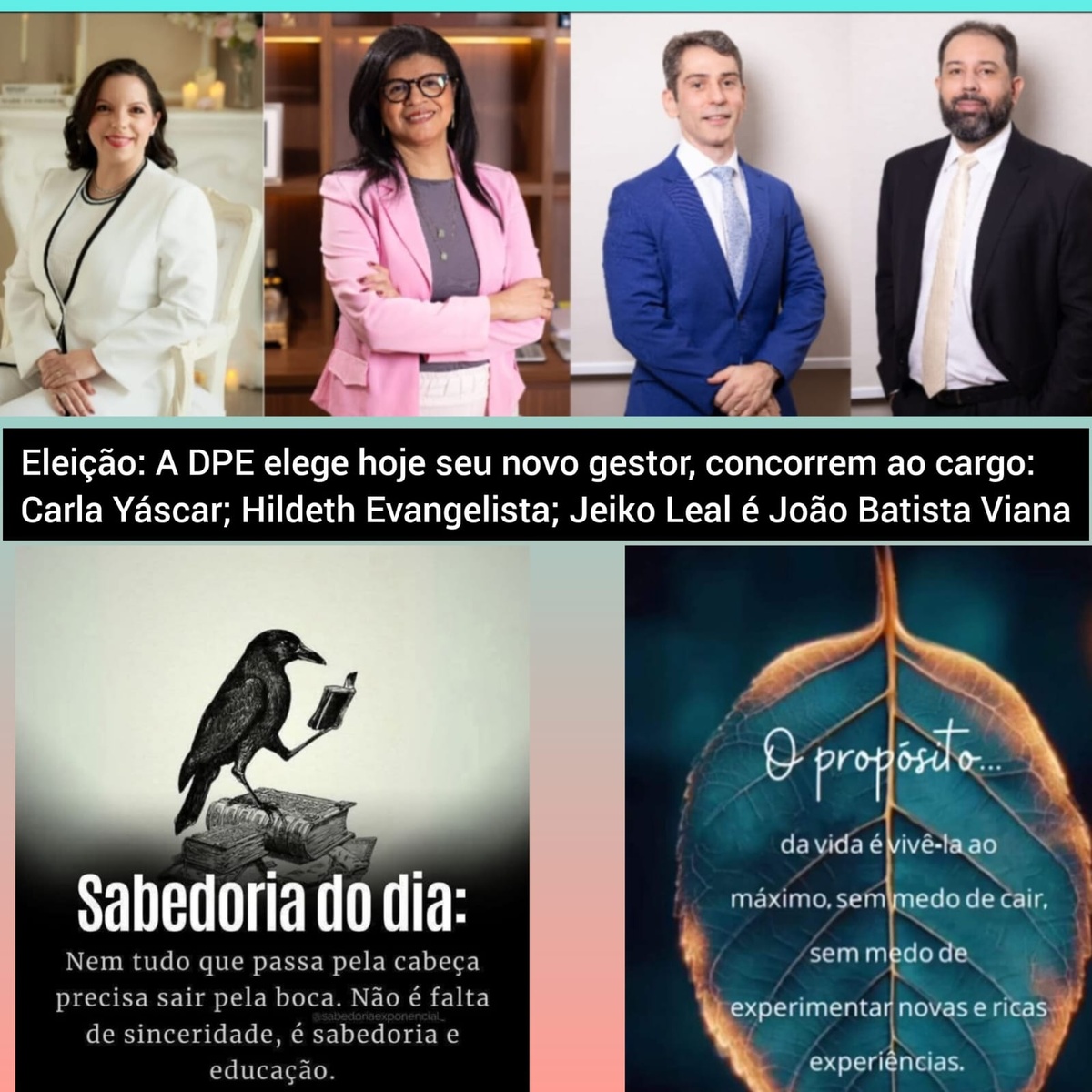 DPE elege hoje seu novo gestor