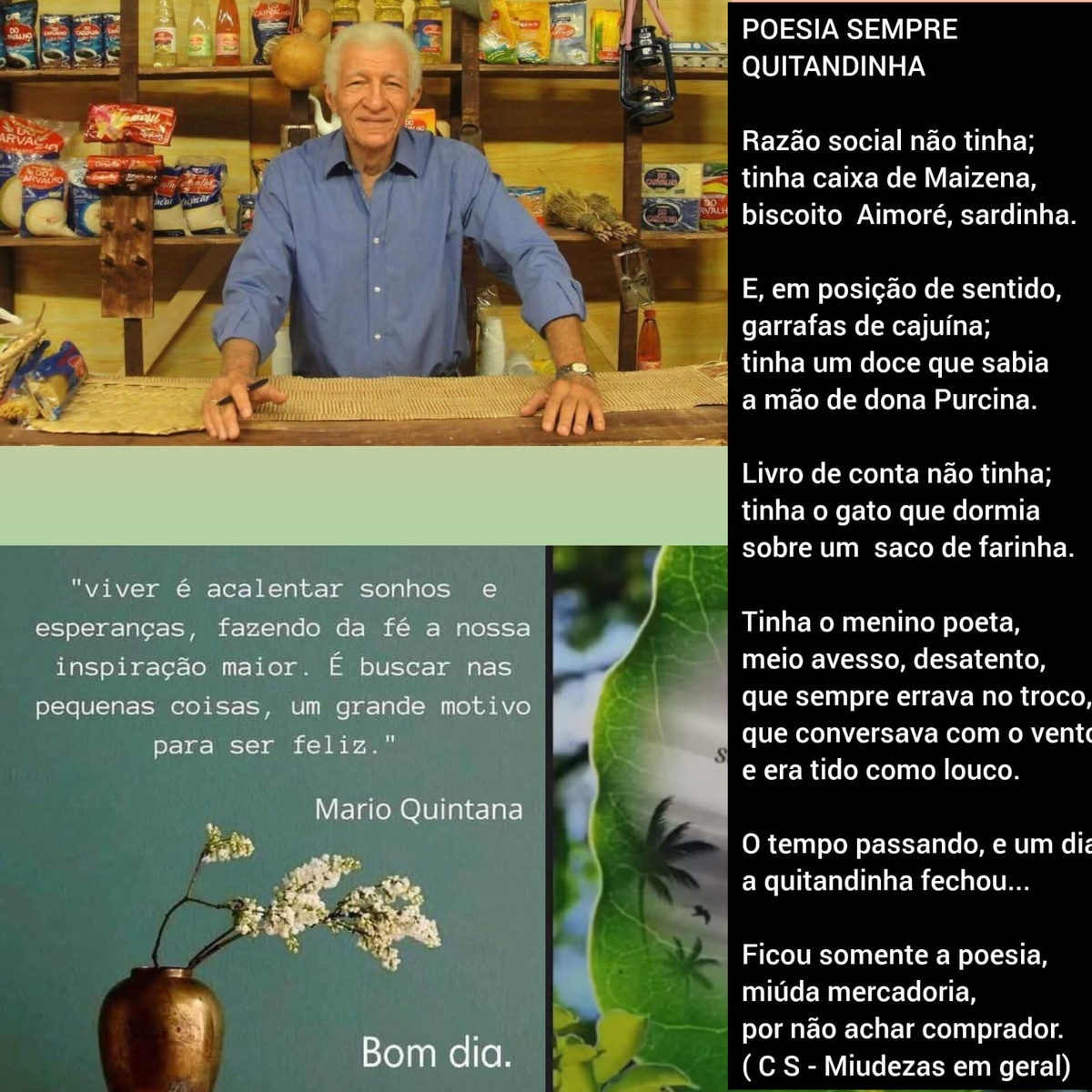 Pensamento do dia