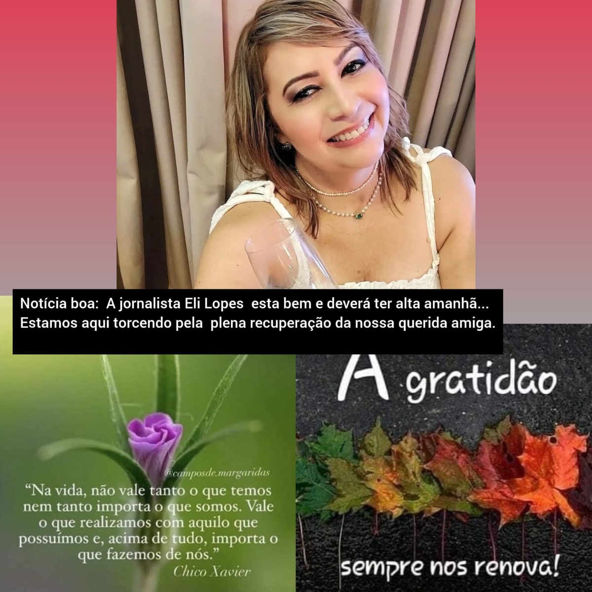 Pensamento do dia.