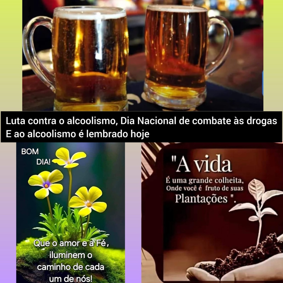 Pensamento do dia.