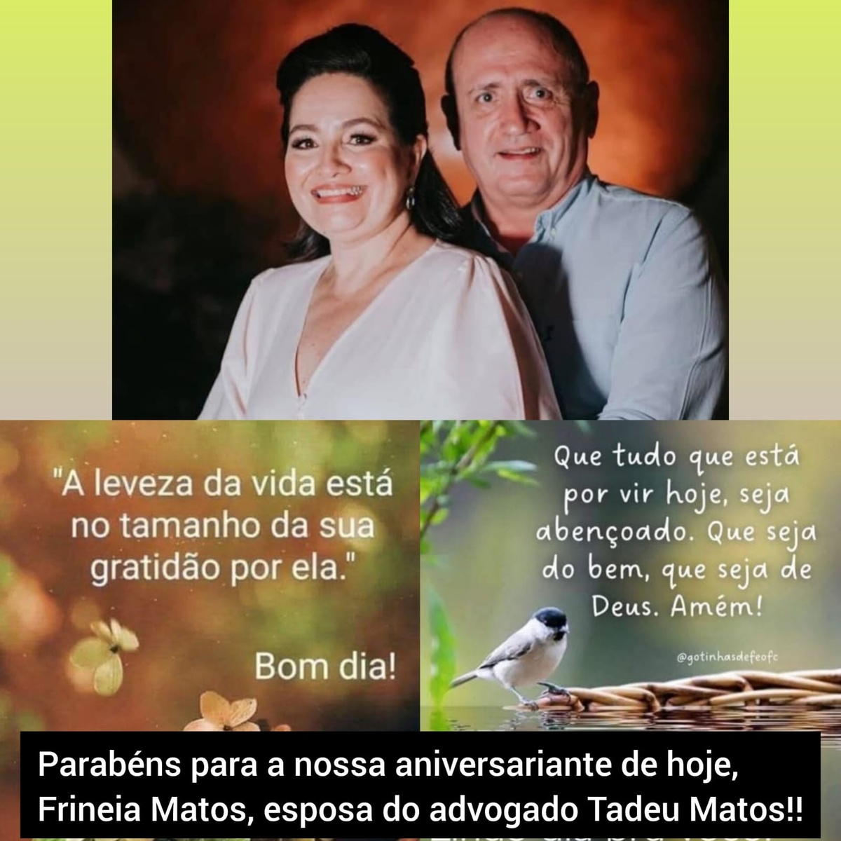 Pensamento do dia.