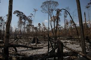 Bolsonaro critica silêncio de Greta, DiCaprio e Macron sobre desmatamento na Amazônia (Foto: https://amazoniareal.com.br/)