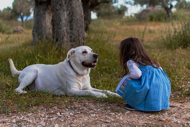 Cachorro e menina