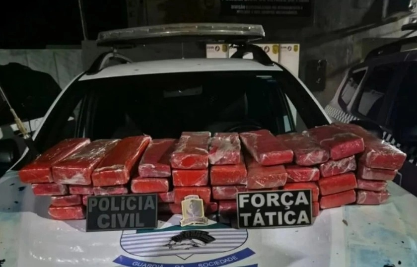 Drogas apreendidas.