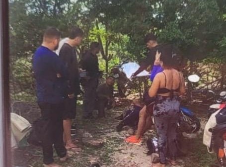 Jovens são atacados por enxame de abelhas e socorridos pelo Corpo de Bombeiros em Castelo do Piauí