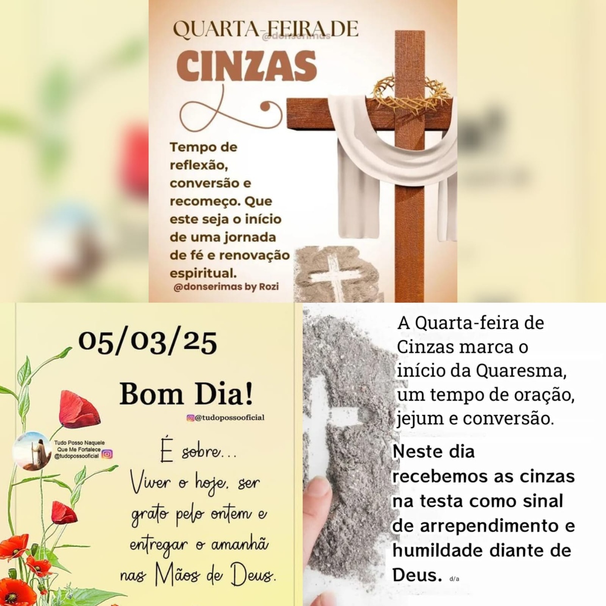 Pensamento do dia
