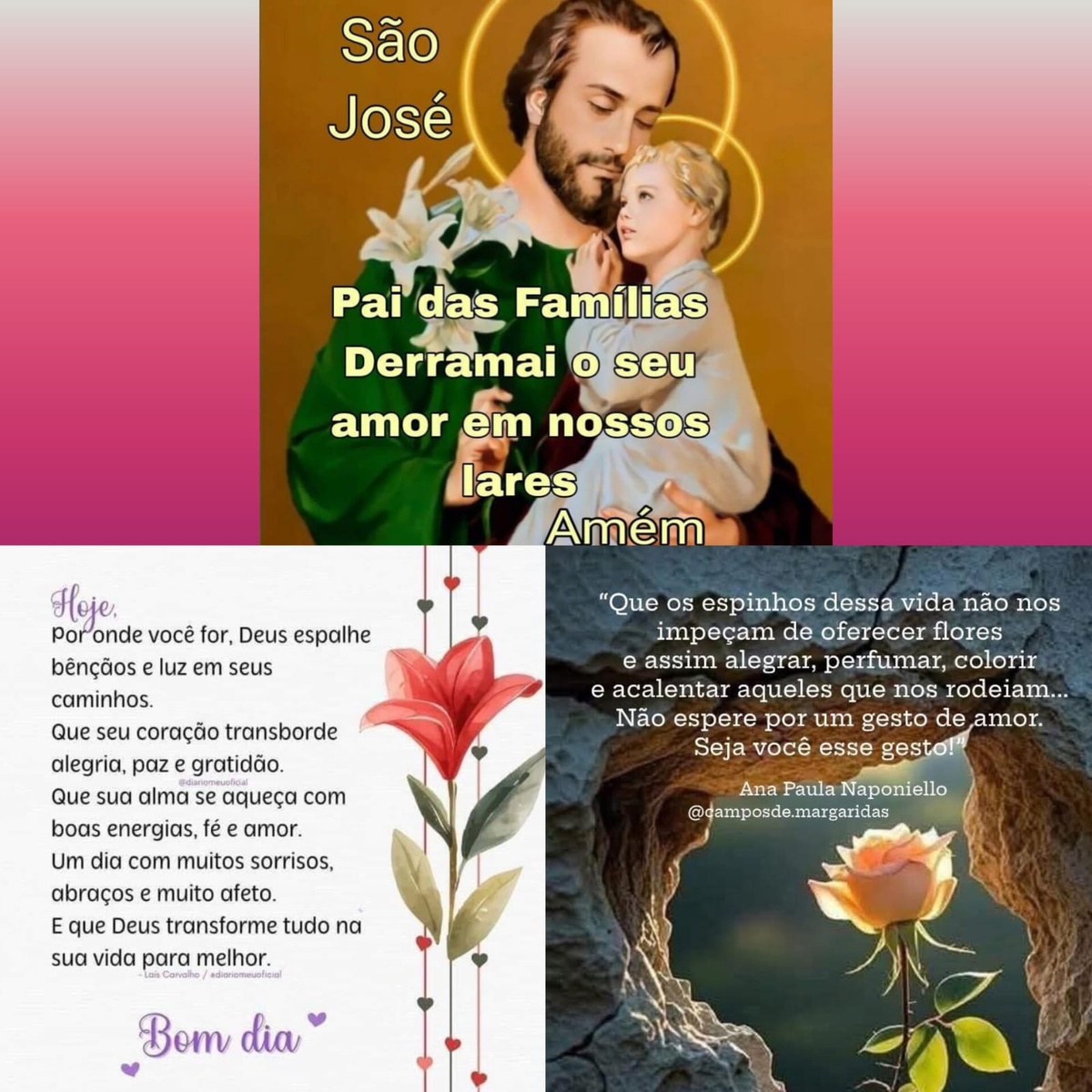 Pensamento do dia.