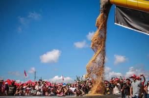 Safra de 14 mil toneladas de arroz (Foto: Reprodução/Midia Ninja)
