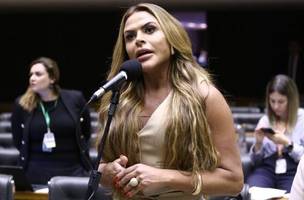 Silvye Alves, Autora do Projeto (Foto: Vinicius Loures/Câmara dos Deputados)