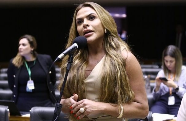 Silvye Alves, Autora do Projeto