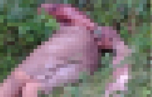 A vítima foi encontrada coberta de sangue com pés e mãos amarradas