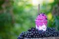 Franquia de açaí: como investir nesse tipo de negócio que continua crescendo