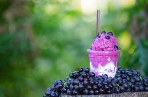 Açaí (Foto: Reprodução)
