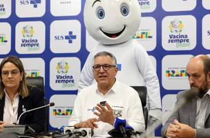 Agora digital; saiba como acessa (Foto: Caderneta de Saúde da Criança)