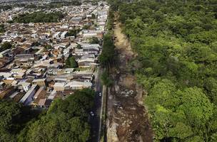 Área de floresta é degradada (Foto: Reprodução/Filipi Bispo)