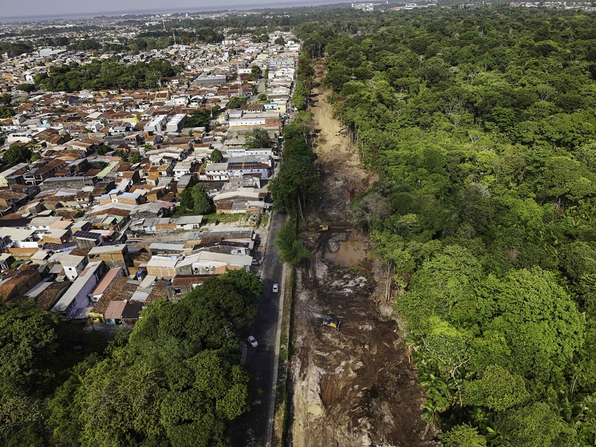 Área de floresta é degradada