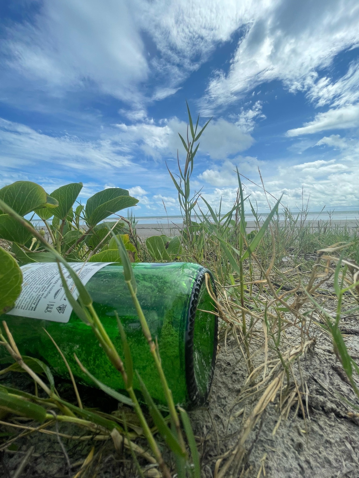As beiras das praias da região estão tomadas pelo lixo, o que tem aumentado cada vez mais a cada novo ano