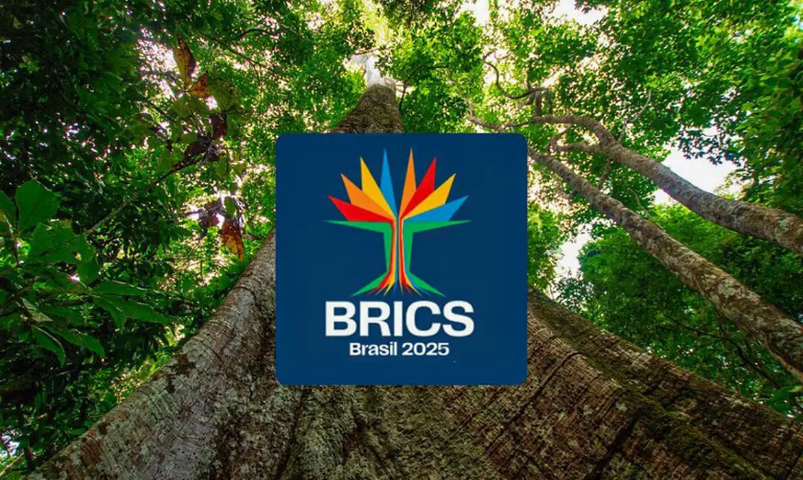 Brics Brasil 2025