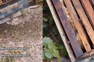 Capa (Foto: Reprodução)