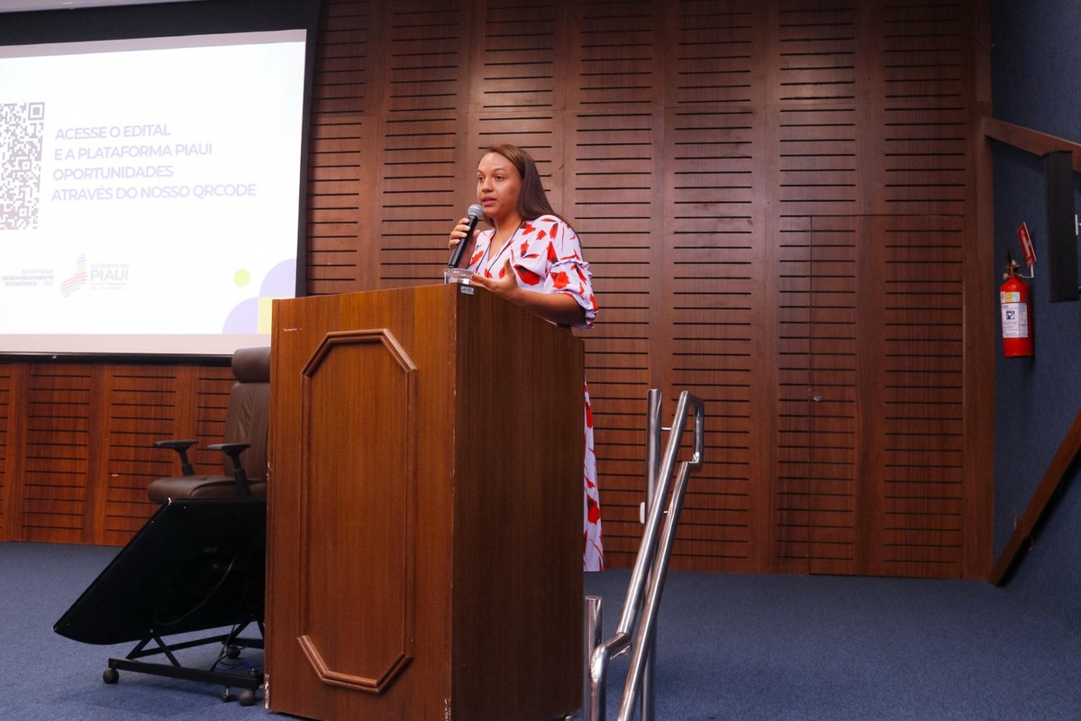 Débora Amorim Secretaria de Desenvolvimento Econômico/PI
