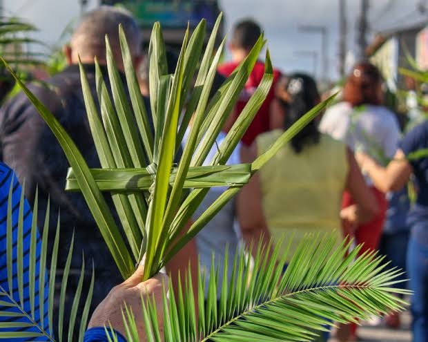 Domingo de Ramos
