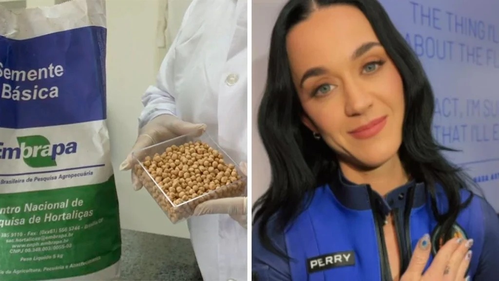 Katy Perry