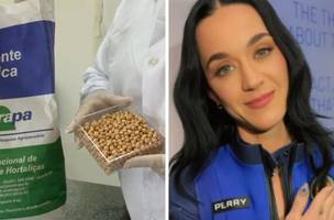 Katy Perry (Foto: Embrapa e Instagram/reprodução)